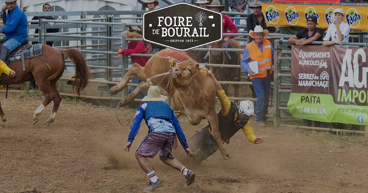 Foire De Bourail Visiteurs